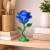 ea96fe0e8ead16a60393521870535635.png