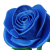4f7de5075e79c56d0b5e3e3ab71fdbb6.png